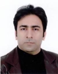 دکتر سعید آقایان متخصص آسیب شناسی, دکترای پزشکی