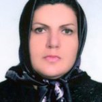 مریم علی نژادامیرخیز کارشناسی مامایی