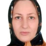 دکتر مهرانگیز صدیقین متخصص زنان و زایمان, دکترای حرفه‌ای پزشکی