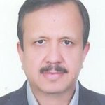 محسن فروردین فلوشیپ ویتره ورتین- سگمان خلفی