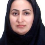 فاطمه آقامحمدی کارشناس ارشد مشاوره مامایی, کارشناسی مامایی