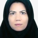 دکتر مریم سلطانی نژاد متخصص زنان و زایمان, دکترای حرفه‌ای پزشکی