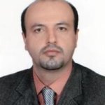 دکتر محمدرضا ارایی