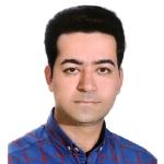 محمدصادق دهقانی فیروزآبادی فلوشيپ شبكيه