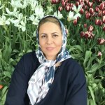 دکتر سارا قربانی فوق تخصص جراحی پلاستیک، ترمیمی و سوختگی, متخصص جراحی عمومی, دکترای حرفه‌ای پزشکی, کارشناس ارشد مشاوره مامایی