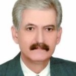 دکتر محمدمهدی شفیعی