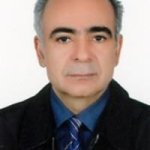 دکتر احمد رشیدفرخی فتح ابادی متخصص بیماری‌های عفونی و گرمسیری, دکترای حرفه‌ای پزشکی
