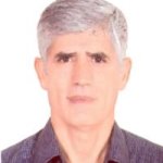 دکتر محسن میر محمد صادقی