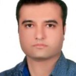 دکتر امین ایران نژادپاریزی متخصص بیماری‌های داخلی, دکترای حرفه‌ای پزشکی
