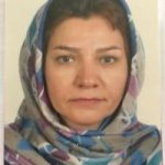 دکتر مریم مرادی پور متخصص زنان و زایمان, دکترای حرفه‌ای پزشکی