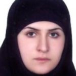 امیری گوشکی کارشناس ارشد مشاوره مامایی, کارشناسی مامایی