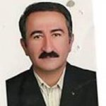 دکتر محمدمهدی نجفی