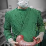 دکتر یزدان دخت غفاری تخصص جراحی عمومی, دکترای حرفه ای پزشکی