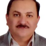 دکتر همایون میرزامحمدی صادق متخصص بیماری‌های قلب و عروق, دکترای حرفه‌ای پزشکی