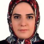 دکتر سارا حسینی شمس آبادی دکترای حرفه ای پزشکی