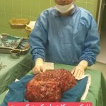 مسعود عارف نیا فلوشیپ سرطانشناسی دستگاه ادراری و تناسلی (اوروانکولوژی), فلوشیپ سرطانشناسی دستگاه ادراری و تناسلی (اوروانکولوژی), فلوشیپ سرطانشناسی دستگاه ادراری و تناسلی (اوروانکولوژی)