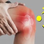 مهدی حمزه نژادی متخصص حرکات اصلاحی, دکترای حرفه‌ای پزشکی