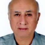 دکتر محمود فتوحی