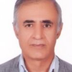 دکتر محمد ملکی متخصص بیماری‌های داخلی, دکترای حرفه‌ای پزشکی