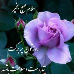 غلامرضا صادقی نژاد پزشک عمومی, دکترای حرفهای دندانپزشکی