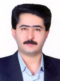 دکتر رامین ابراهیمی متخصص آسیب شناسی, دکترای پزشکی
