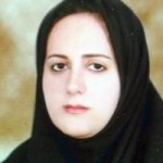 دکتر ایران دیبایی فر دکترای حرفه‌ای پزشکی