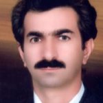 دکتر محمد محمدی متخصص بیماری‌های مغز و اعصاب (نورولوژی), دکترای حرفه‌ای پزشکی