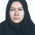 دکتر جمیله حاجی محمدی متخصص بیماری‌های داخلی, دکترای حرفه‌ای پزشکی