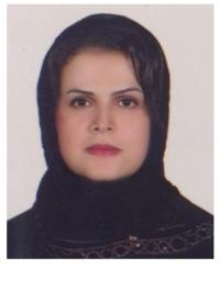 دکتر مرمر یدک متخصص آسیب شناسی, دکترای پزشکی