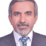 دکتر محسن ارمیده متخصص طب اورژانس, دکترای حرفه‌ای پزشکی