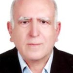 دکتر محمدتقی بیگدلی شاملو متخصص بیماری‌های داخلی, دکترای حرفه‌ای پزشکی