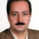 سیدجلیل نقیب فلوشیپ ویتره ورتین- سگمان خلفی