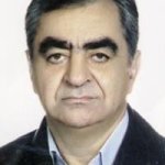 دکتر ناصرالدین مبصری متخصص بیهوشی, دکترای حرفه‌ای پزشکی