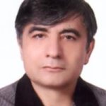 دکتر جمال سید متخصص بیماری‌های داخلی, دکترای حرفه‌ای پزشکی