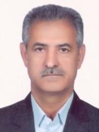 دکتر نادر نادری متخصص بیماریهای داخلی, دکترای پزشکی
