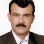 دکتر احمد نکویی متخصص جراحی استخوان و مفاصل (ارتوپدی), دکترای حرفه‌ای پزشکی