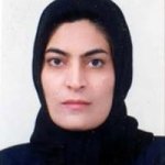 دکتر شهین گل شاه متخصص زنان و زایمان, دکترای حرفه‌ای پزشکی