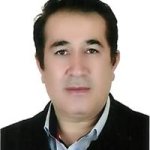 دکتر علی انشایی