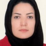 نخعی محمدآبادی کارشناسی مامایی