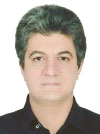 دکتر مهرجو امرائی متخصص آسیب شناسی, دکترای پزشکی