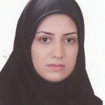 کارشناس نفیسه سادات شریفی کارشناسی ارشد کاردرمانی, کارشناسی کاردرمانی