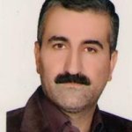 دکتر مسعود باقریان لمراسکی متخصص روان‌پزشکی, دکترای حرفه‌ای پزشکی