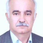 دکتر سیدرضا موسوی لاجیمی متخصص بیماری‌های داخلی, دکترای حرفه‌ای پزشکی