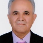 دکتر علی اکبر طاهریان متخصص زنان و زایمان, دکترای حرفه‌ای پزشکی