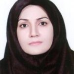 پری ناز نورمحمدی کارشناس ارشد مشاوره مامایی, کارشناسی مامایی