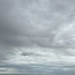 دکتر فاطمه صالحی فلوشیپ جراحی درون بین (لاپاراسکوپی), متخصص زنان و زایمان, دکترای حرفه ای پزشکی