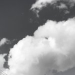 فاطمه مطهری کارشناسی ارشد مامایی گرایش پرشکی قانونی