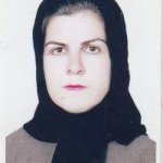 دکتر مهین مجدزاده شورکی متخصص زنان و زایمان, دکترای حرفه‌ای پزشکی
