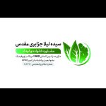 سیده لیلا جزایری مقدس کارشناسی ارشد روانشناسی عمومی