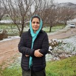سمیه شیخی متخصص اطفال ( بورد تخصصی اطفال )